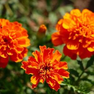 Meet your Posher, Raquel